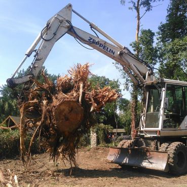 Ein Kran mit einem Baum - Dirk Wachs Energieholz