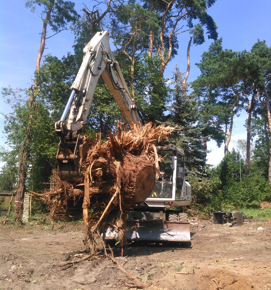 Ein Bagger mit einem Baum - Dirk Wachs Energieholz